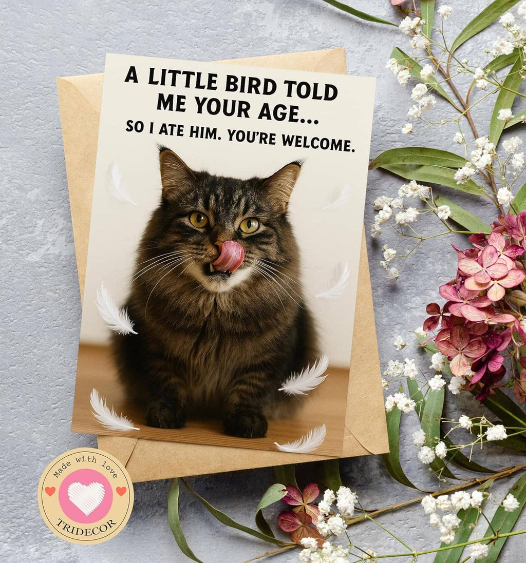 Funny birthday card with tabby cat and feather print, kraft envelope with flowers