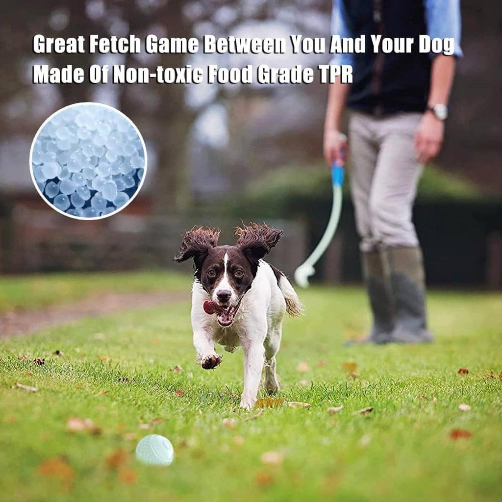 Textured round glow dog toy ball on grass with a running dog nearby.