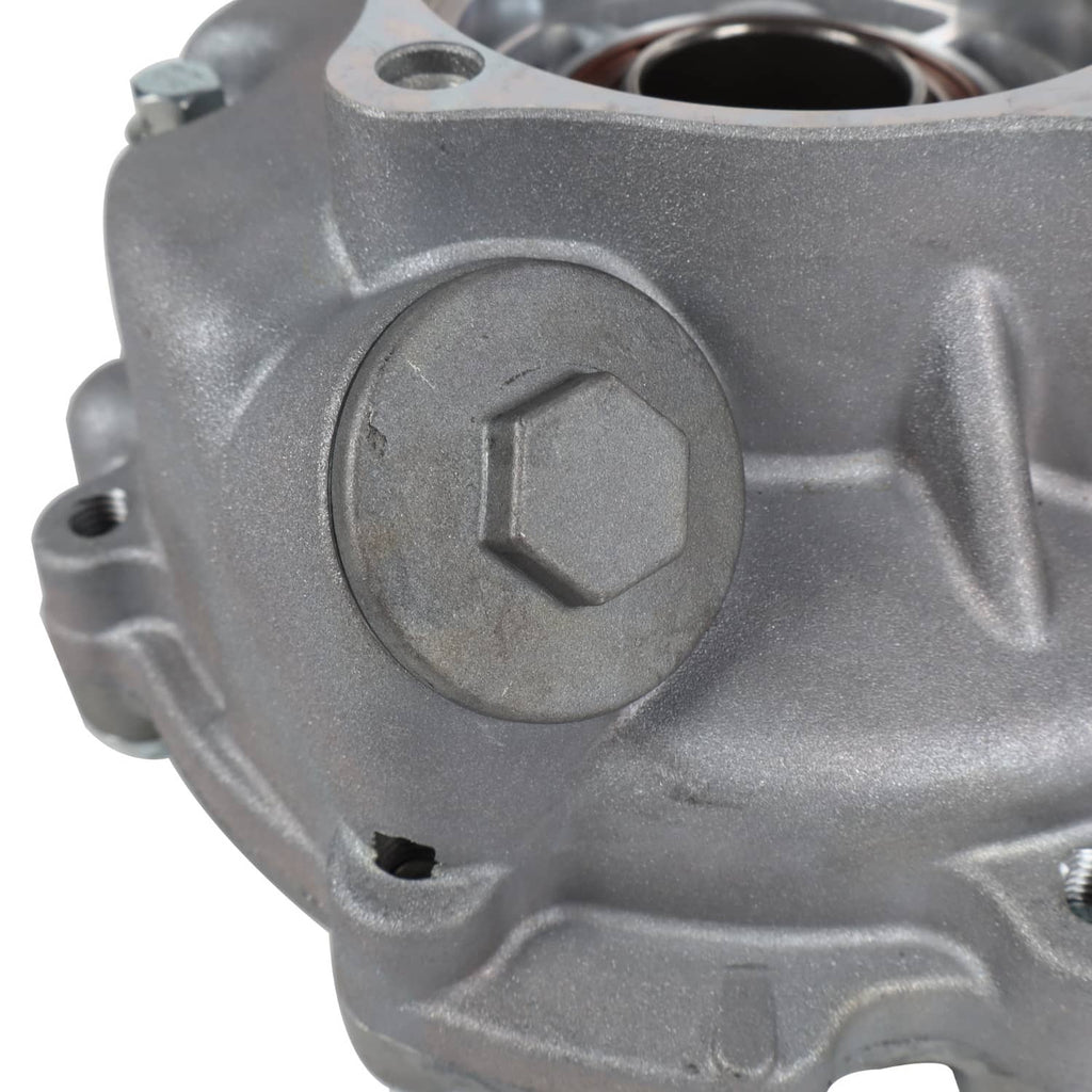 Rear differential gear case with round cover plate and hex recess bolt, silver metal