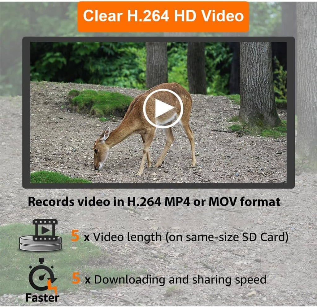 Camouflage trail camera display showing a clear video playback screen