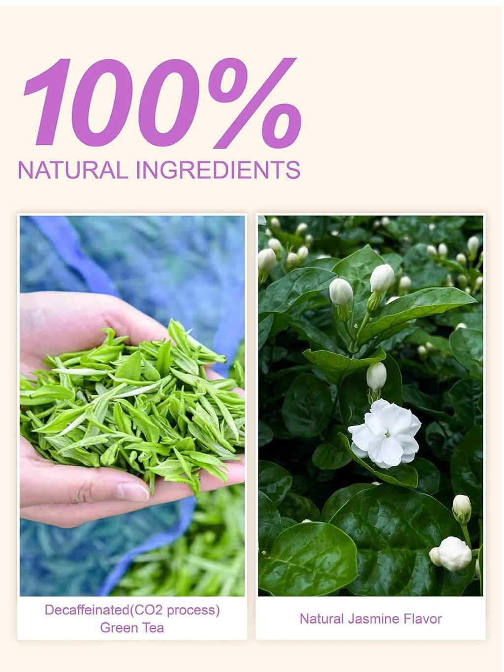 Hand holding green tea leaves with jasmine blossoms