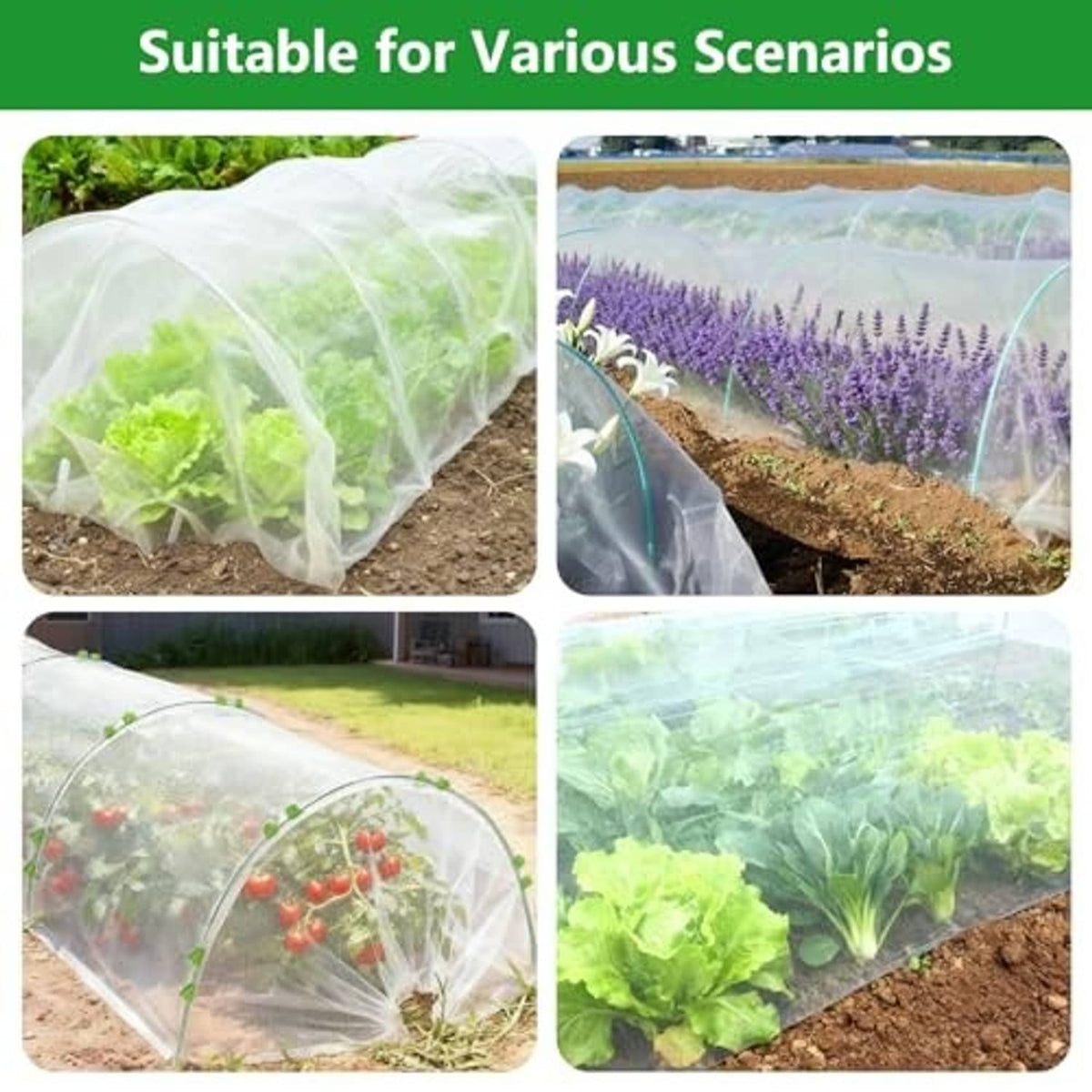 Garden netting cover protecting seedlings and leafy greens in four scenario photos.