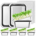 Silver stainless tray with perforated insert and fresh green sprouts