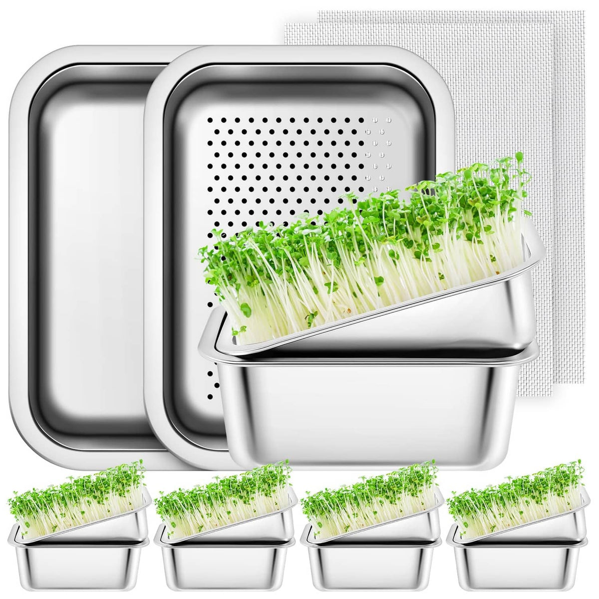 Silver stainless tray with perforated insert and fresh green sprouts