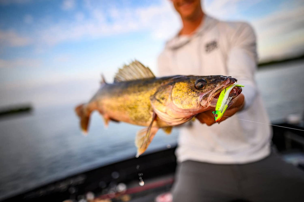 Fish held with lime-green shad fishing lure attached