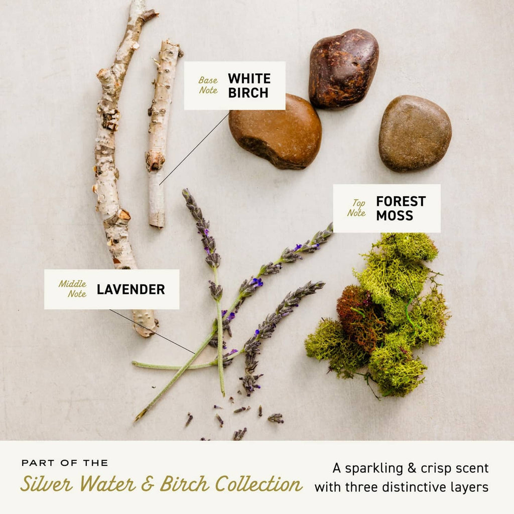 Scent note diagram for Silver Water & Birch: lavender, white birch, forest moss