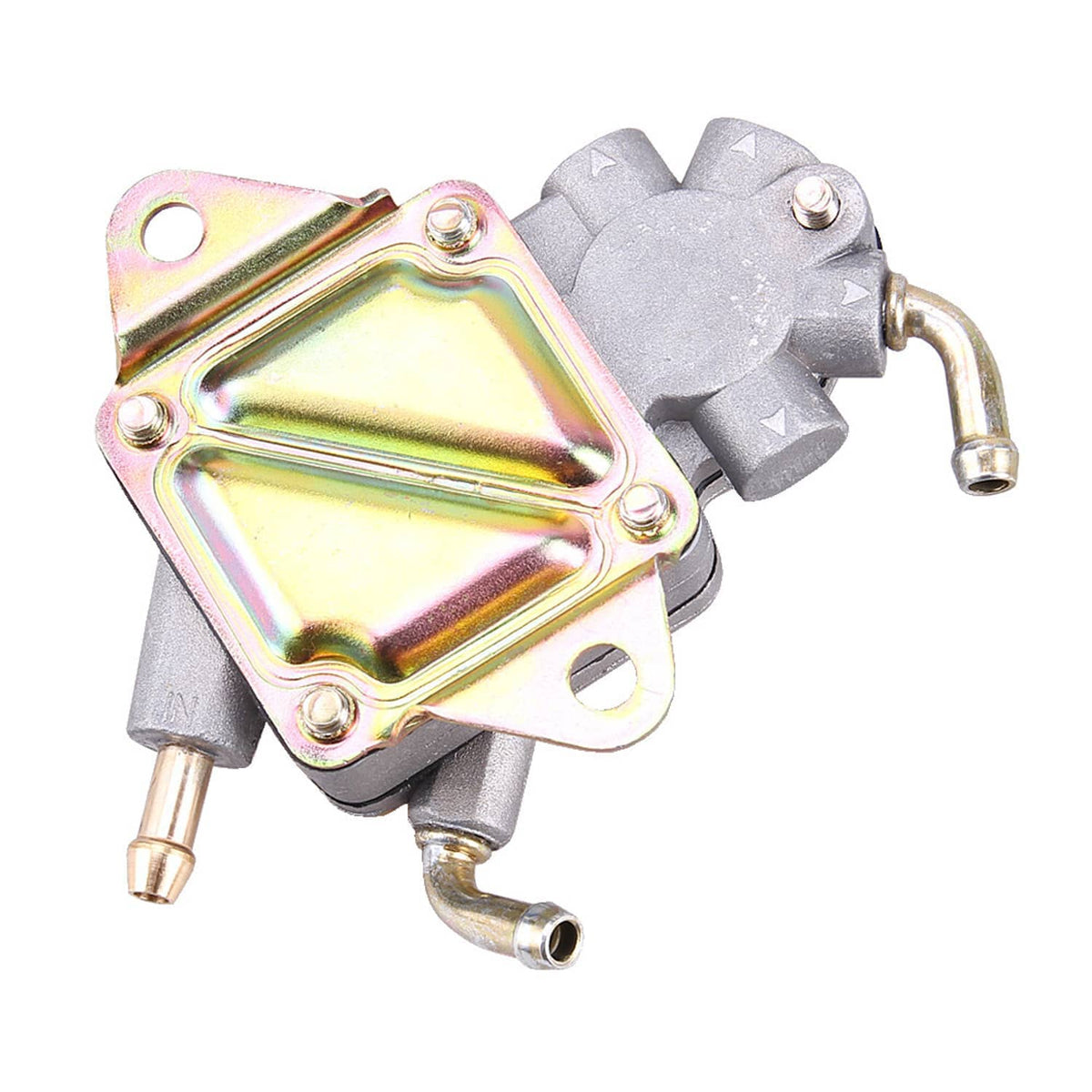 Fuel pump assembly angled view with rainbow plate cover, silver body, and two metal outlets
