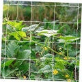White polyester trellis netting with 3.5 in mesh, holding green climbing plants