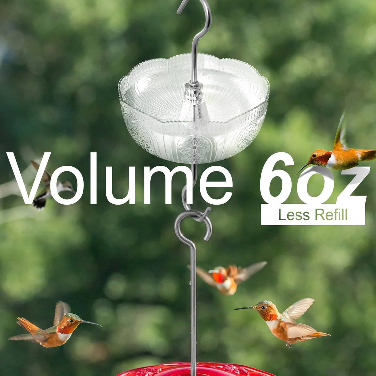 Clear hanging ant moat basket with top hook, shown without feeder