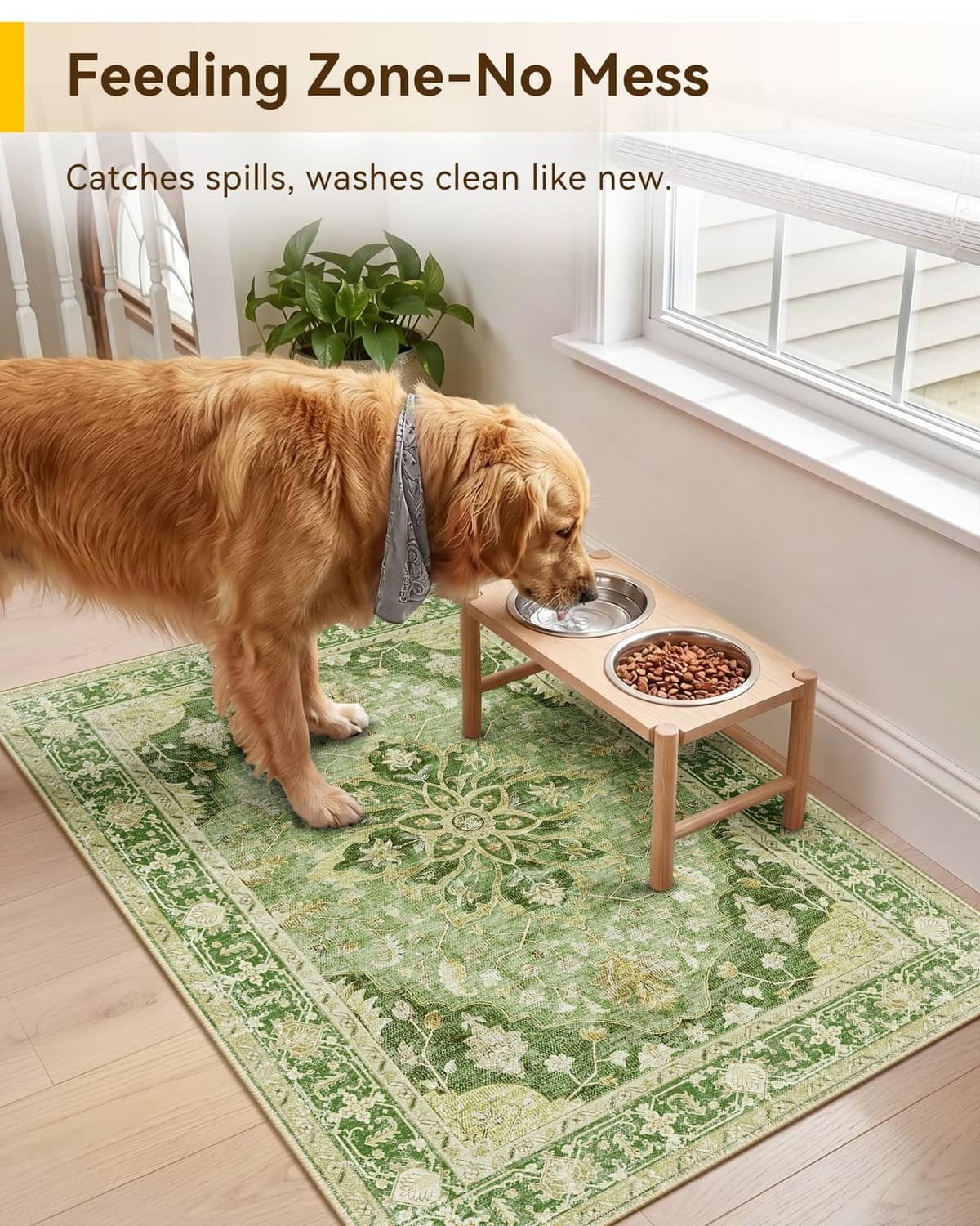 Washable area rug with green ornamental pattern under a pet and side table