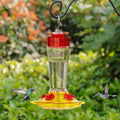 Glass bottle hummingbird feeder with red cap, yellow 5-port flower feeding tray
