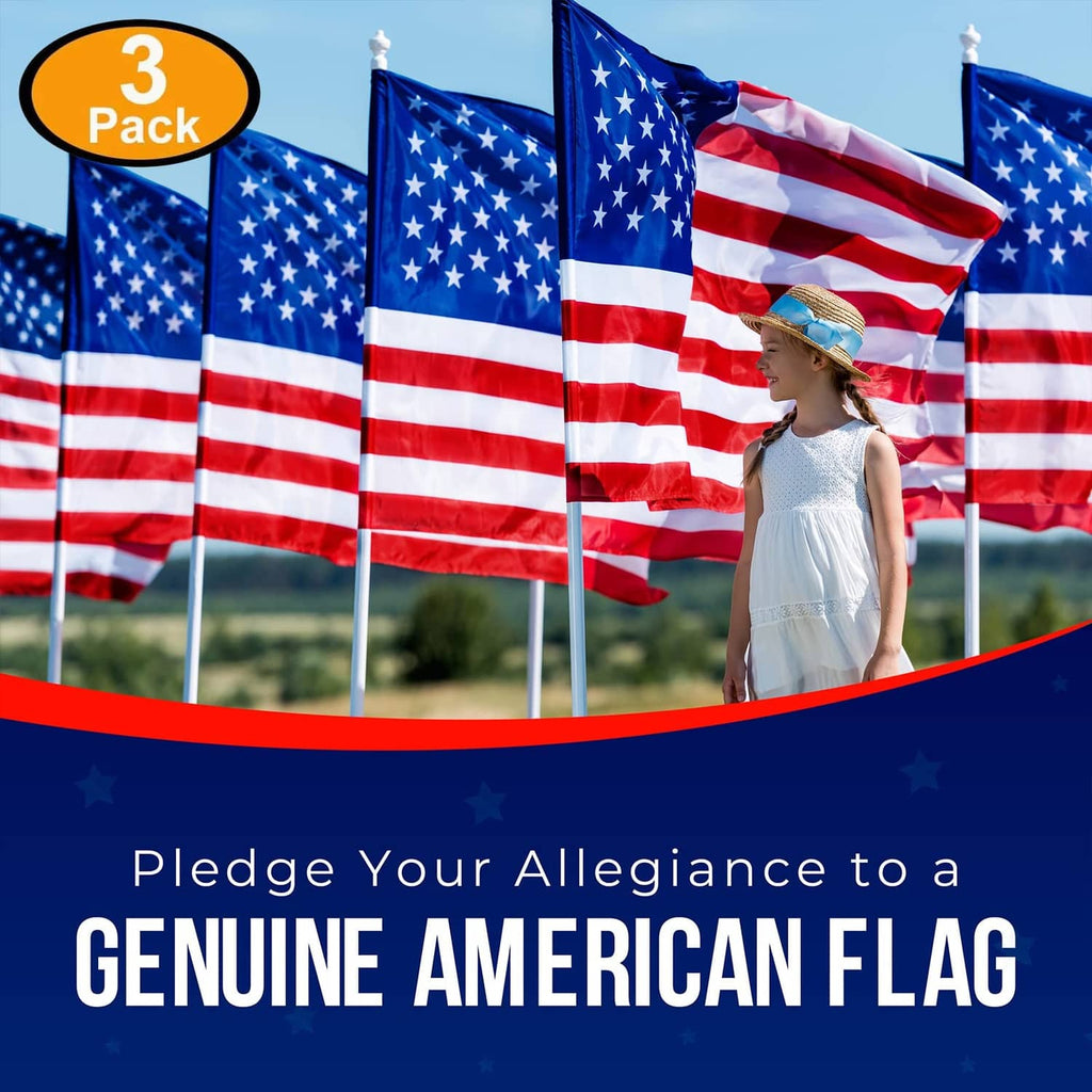 Group of American flags on poles with a person standing nearby