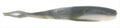 Emerald shiner fishing lure, gray-silver shad body with green tail accents