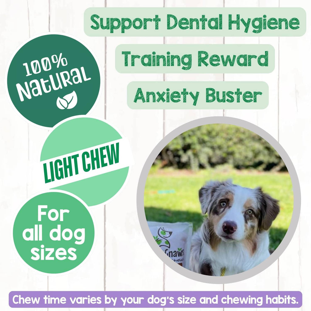 Dog treat infographic for dental hygiene with light chew icon and pet photo