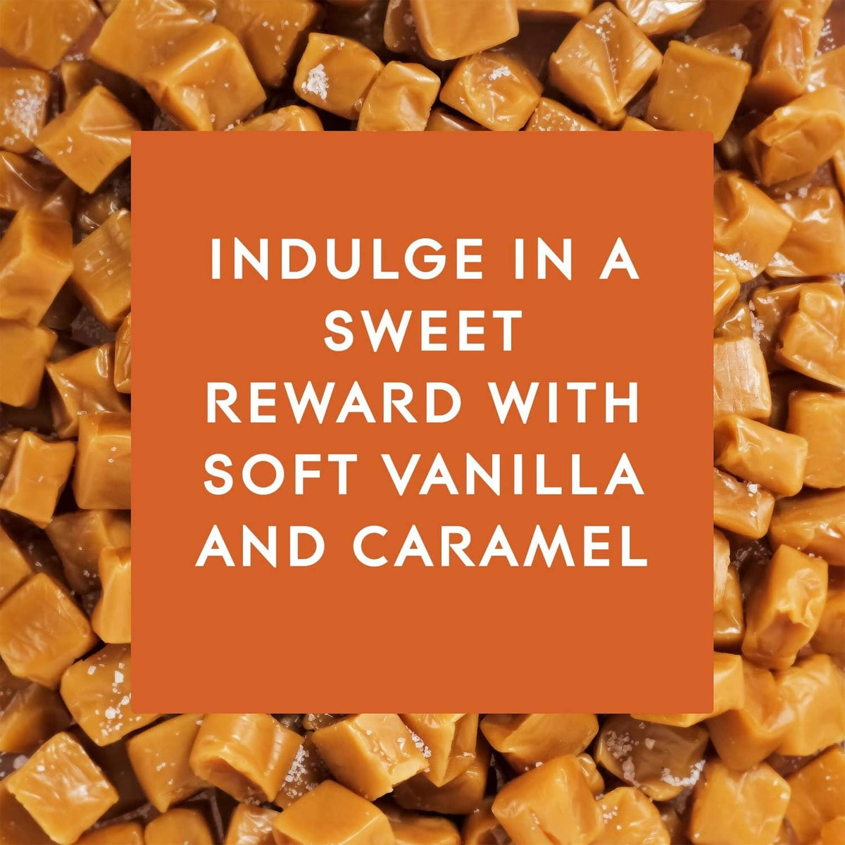 Soft vanilla and caramel scent promo graphic with caramel candy cubes