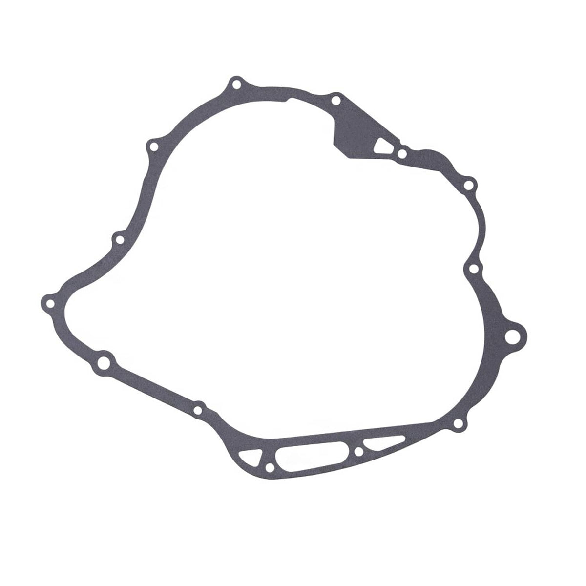 Crankcase cover gasket, dark gray oval shape with perimeter bolt holes