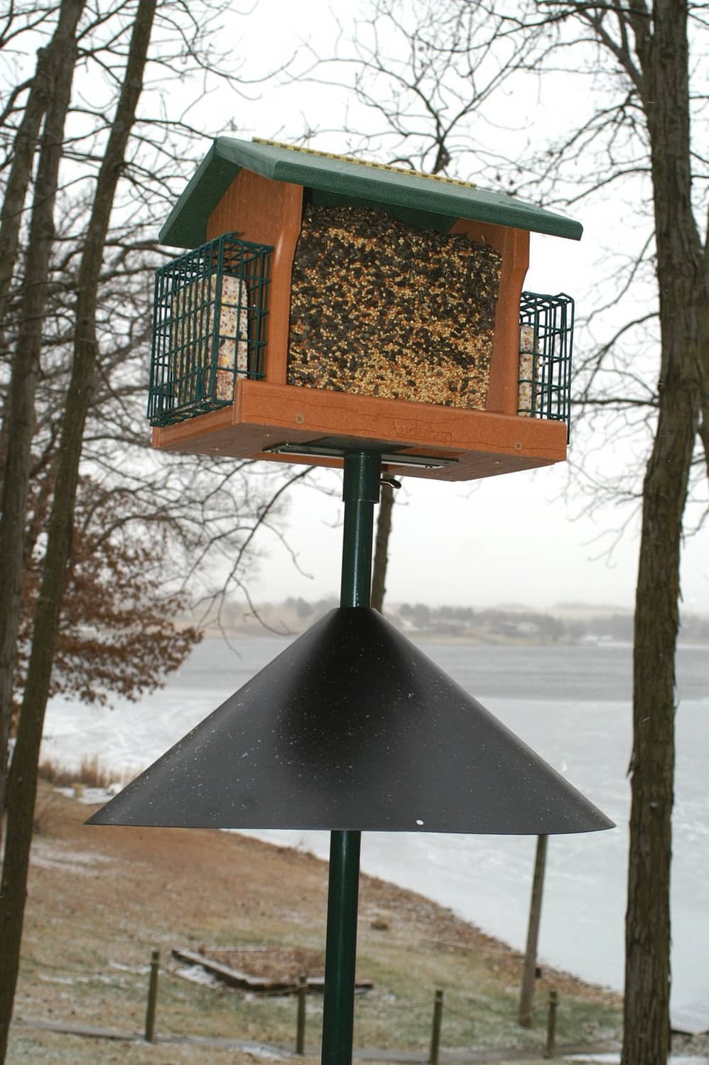 Black flared baffle around feeder pole to block climbing squirrels