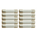 Ceramic time-delay fuses with silver end caps and off-white ceramic tubes, 8-pack