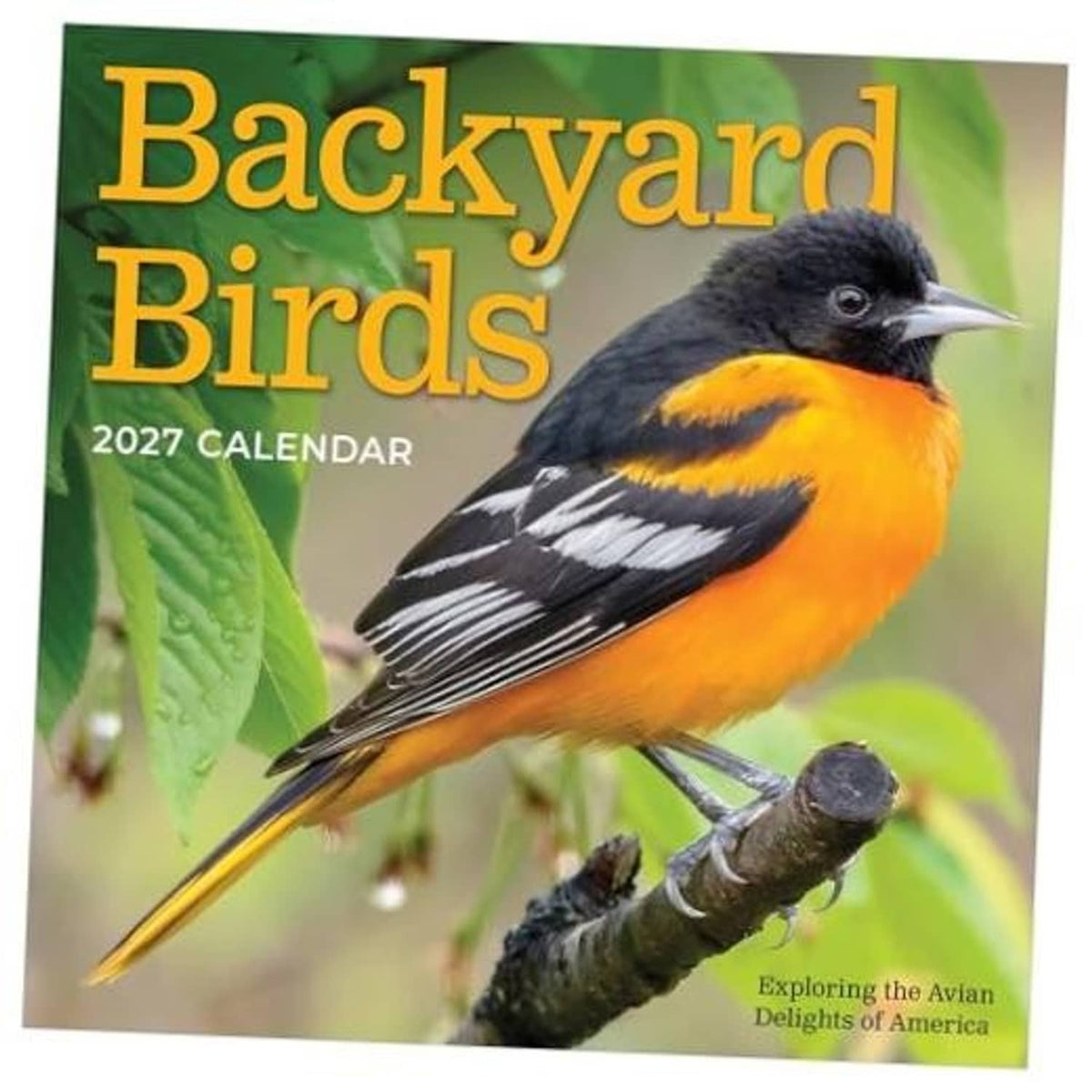 Backyard Birds 2027 mini calendar cover with orange and black bird on green leaves