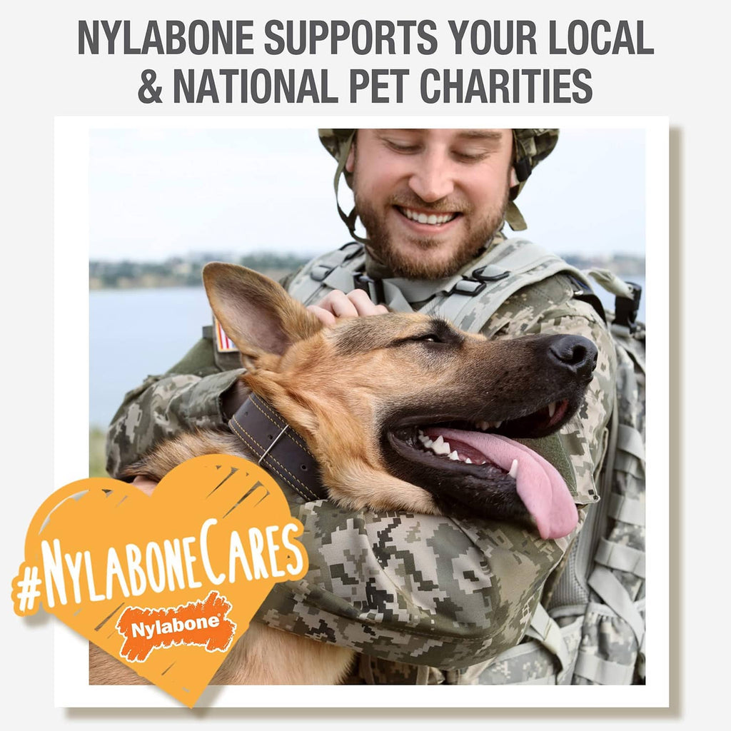 Nylabone charity care graphic with smiling person holding a dog