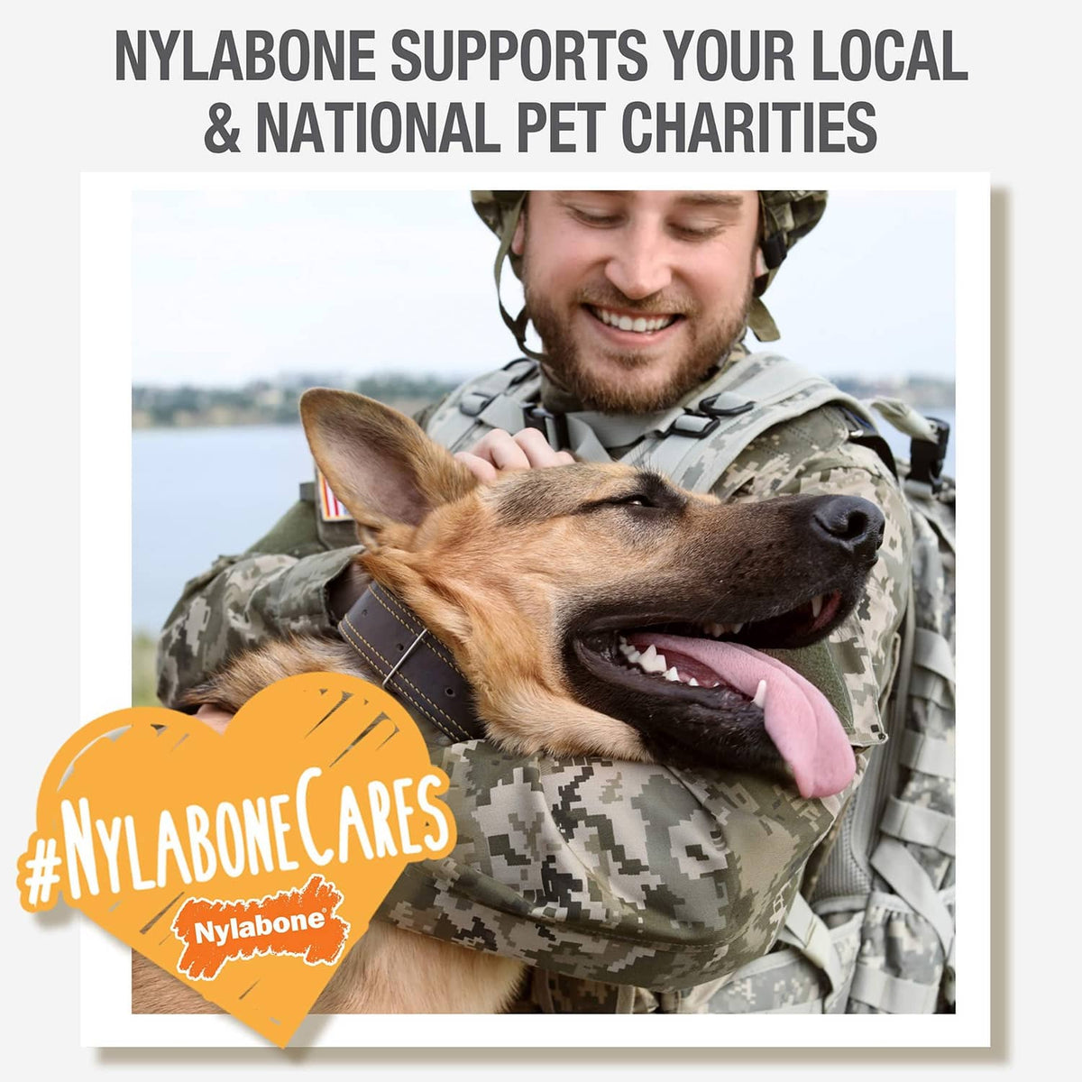 Nylabone charity care graphic with smiling person holding a dog