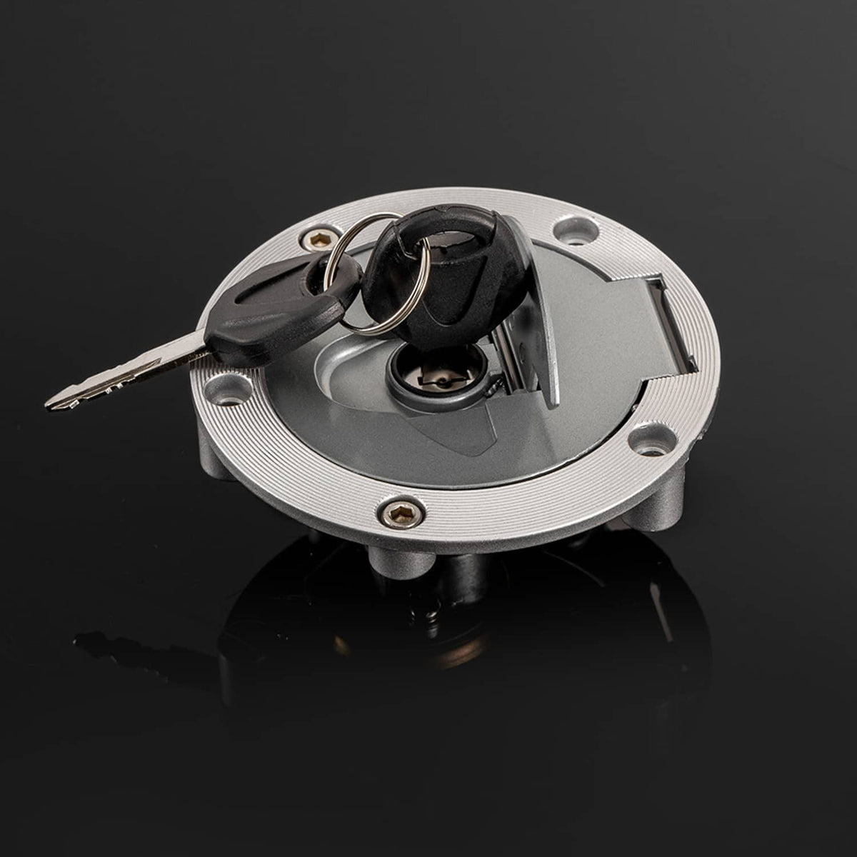 Silver fuel cap lock with two keys and mounting screws