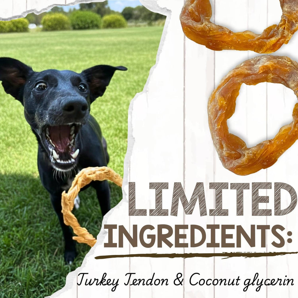 Black dog chewing a turkey tendon ring chew on grass