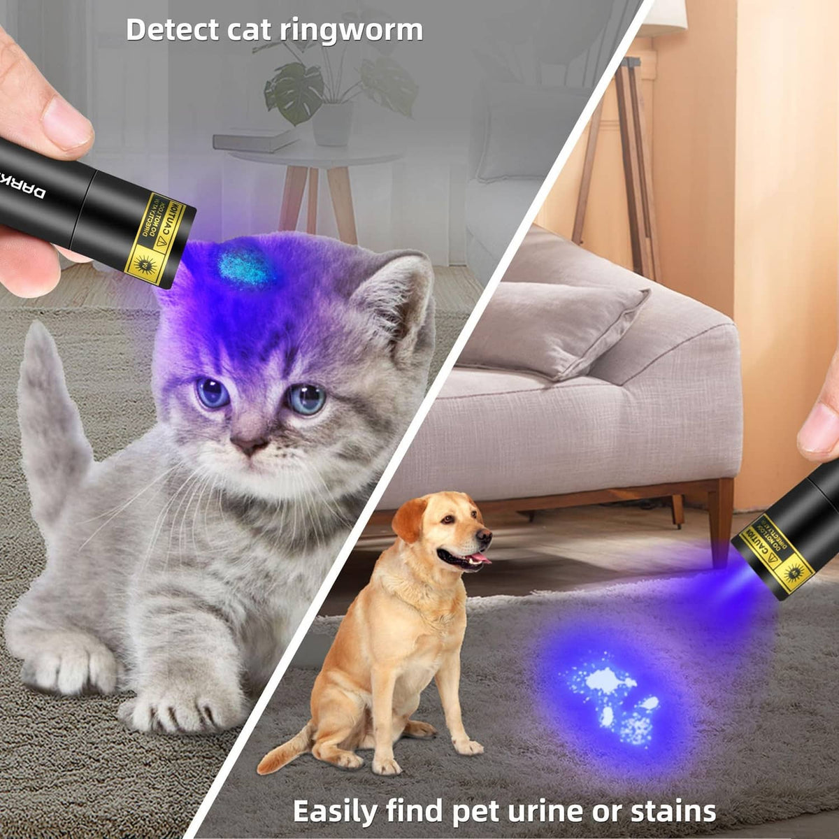 Handheld 365nm UV flashlight shining blue light on cat fur