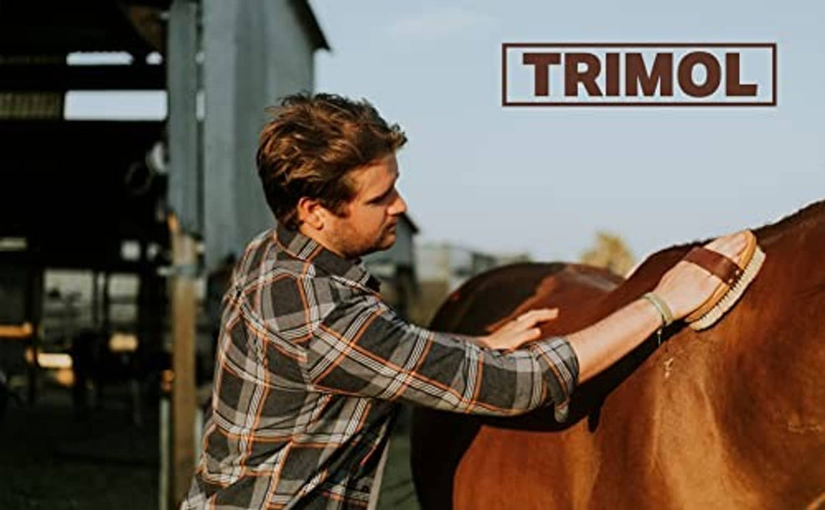 Person applying ointment to a horse along the stable, hand reaching forward