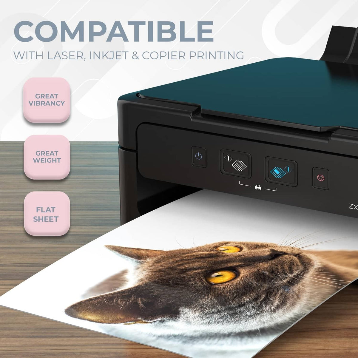 Cardstock sheet printed with a cat image coming from a printer