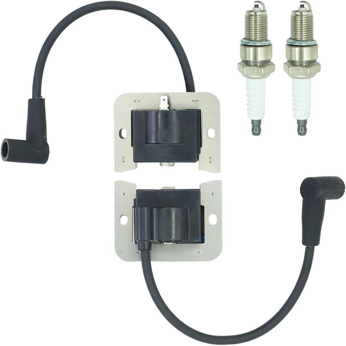Ignition module assembly with two spark plugs and attached black wiring harness