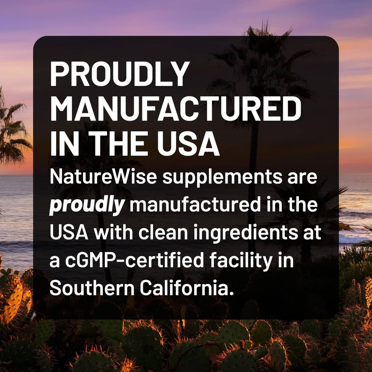 Proudly manufactured in the USA NatureWise turmeric curcumin supplement information panel