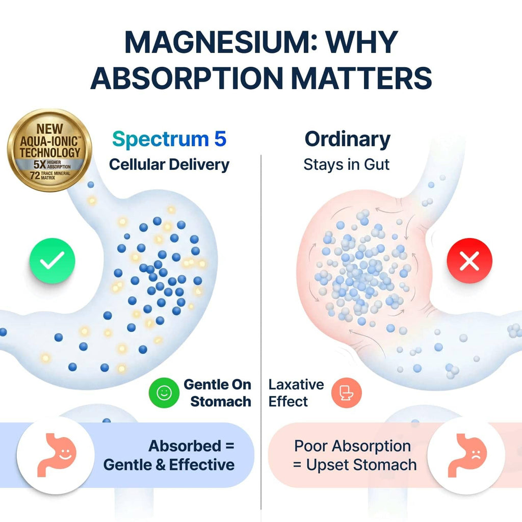 Magnesium why absorption matters infographic showing gentle absorption vs laxative effect