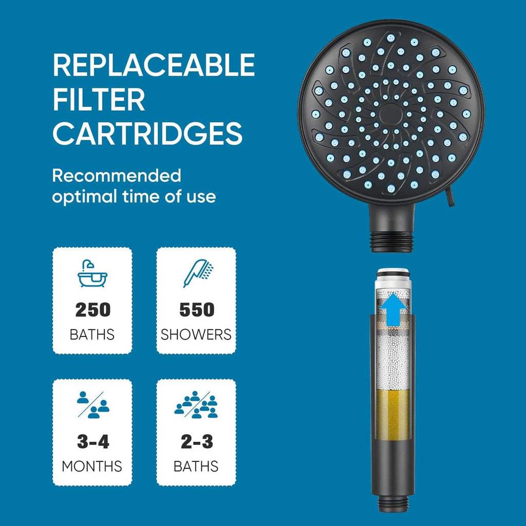 Replaceable shower filter cartridge with translucent media chamber and spray head