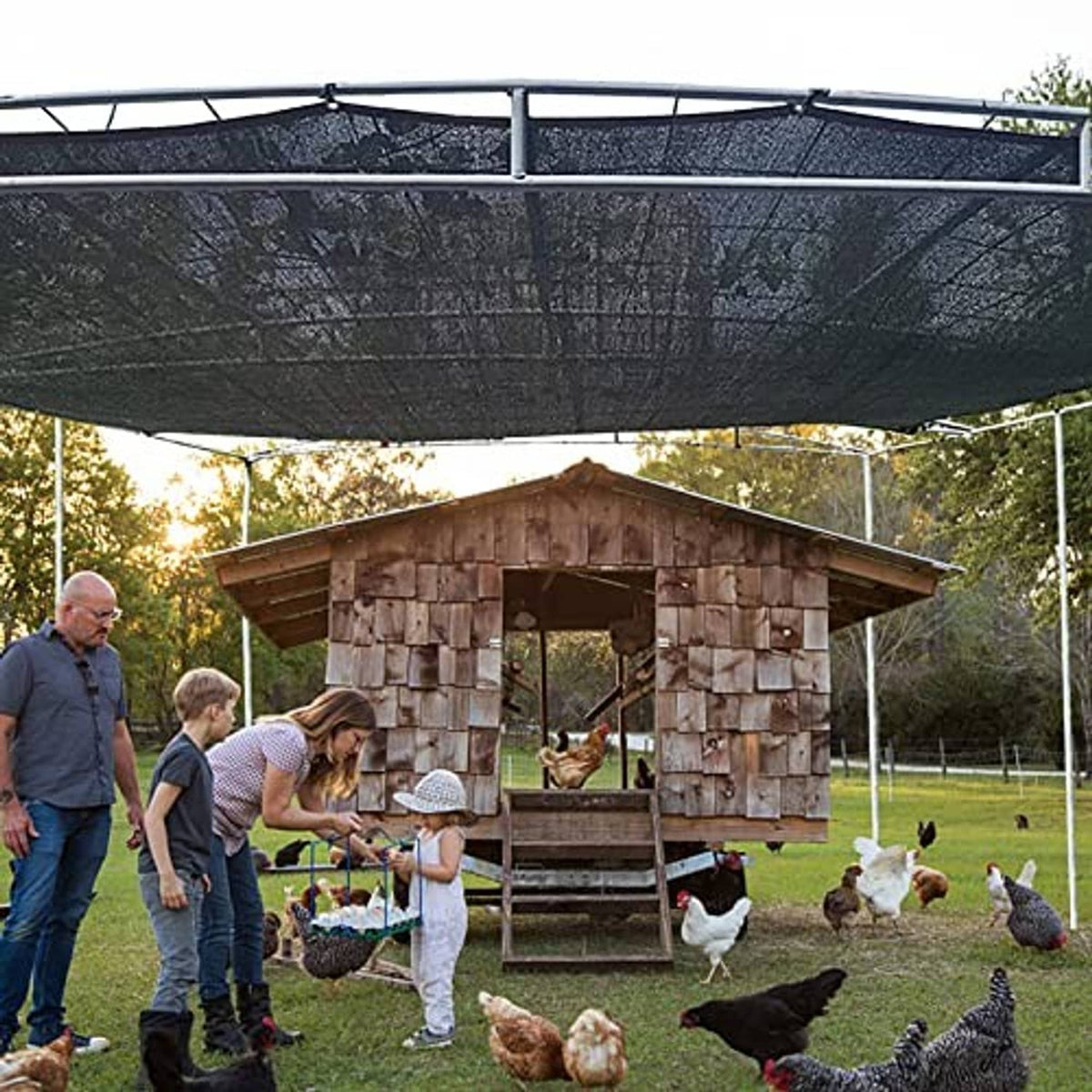 Black mesh shade tarp attached overhead with grommets over an outdoor chicken coop