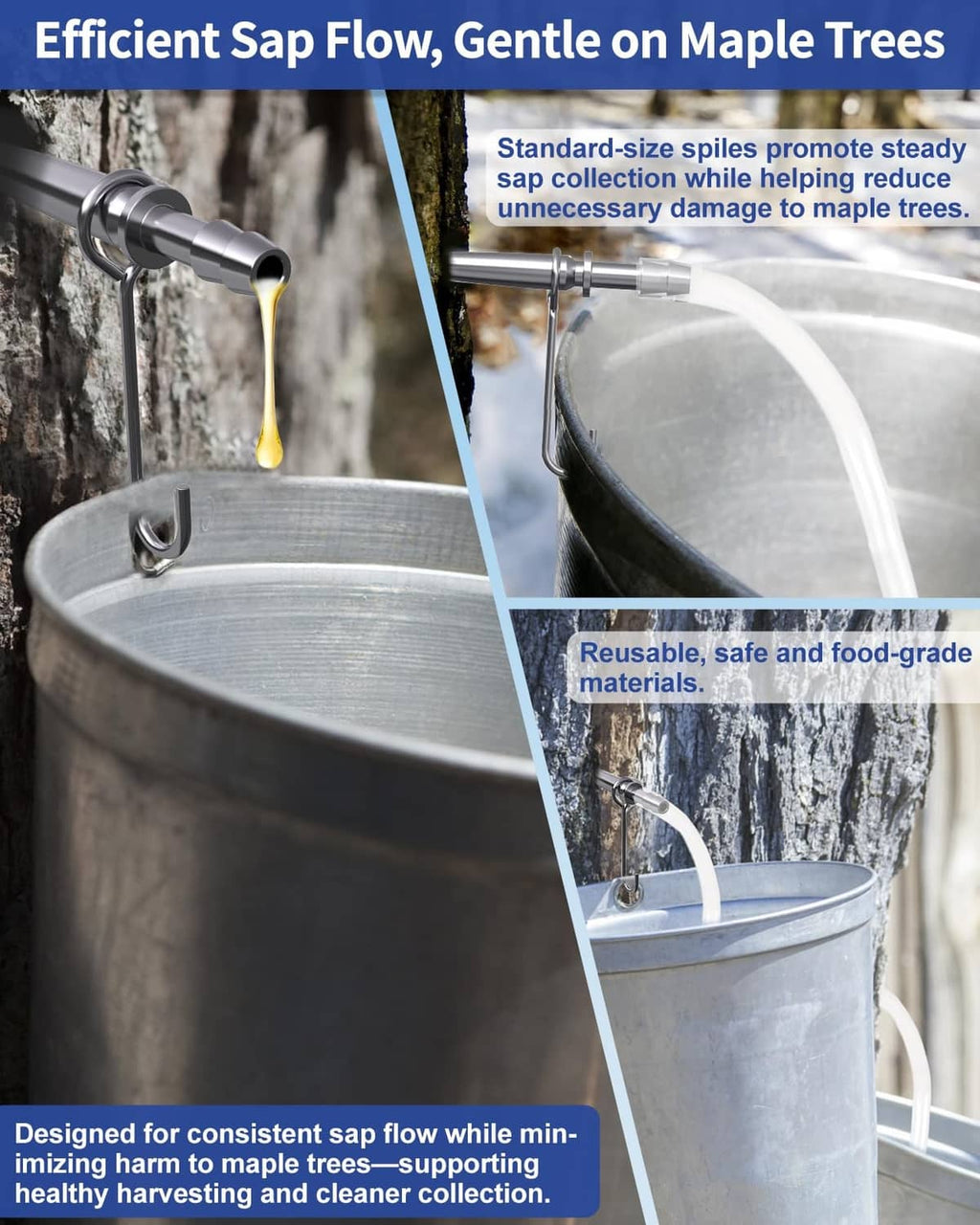 Maple syrup tapping kit showing sap flowing from spile into collection bucket via tubing