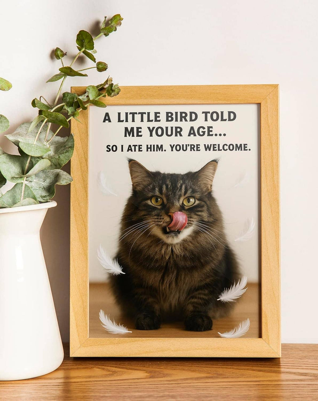 Funny birthday card displayed in wooden frame, tabby cat and feather message