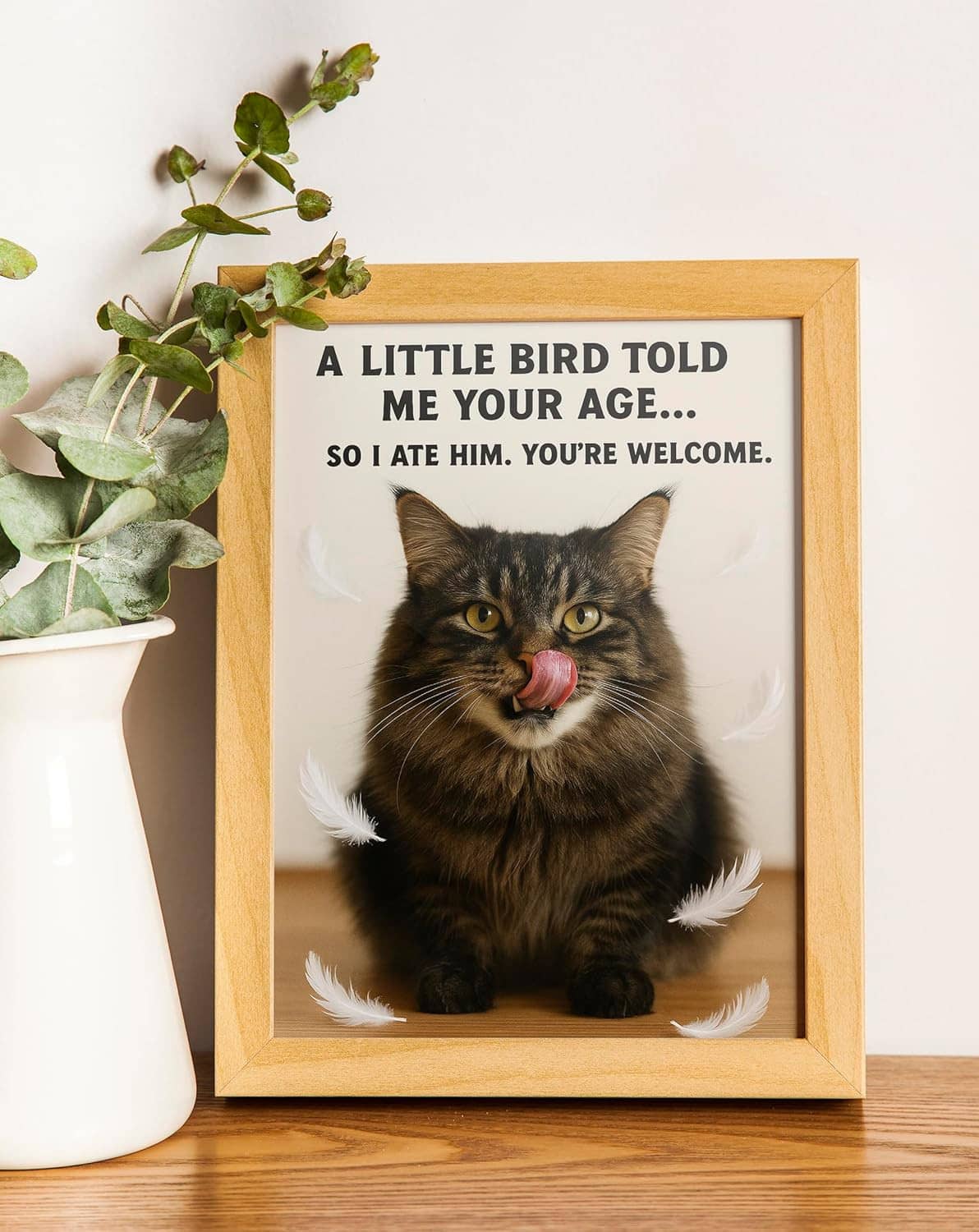 Funny birthday card displayed in wooden frame, tabby cat and feather message