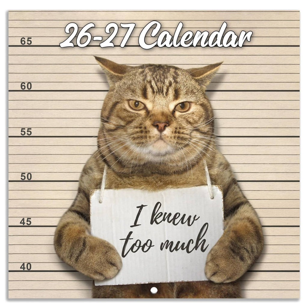 Brown cat wall calendar cover with “26-27 Calendar” title and apron meme