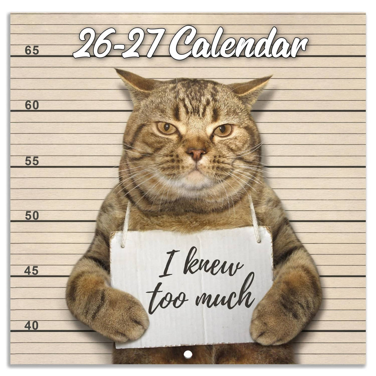 Brown cat wall calendar cover with “26-27 Calendar” title and apron meme