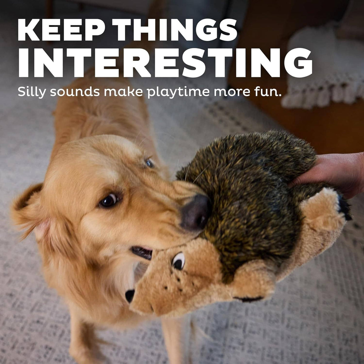 Plush hedgehog dog toy being held by a golden retriever with stitched face