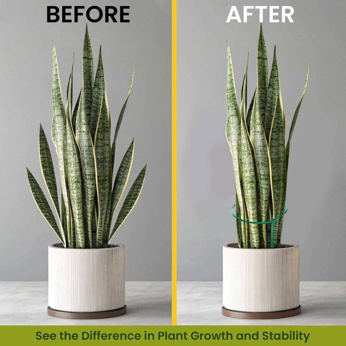 Green circle plant support stakes surrounding upright potted leaves