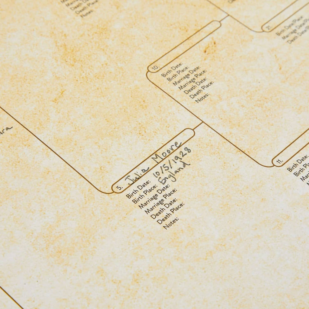 Off-white pedigree chart branch labeled 'Mary Moore' with birth and death fields