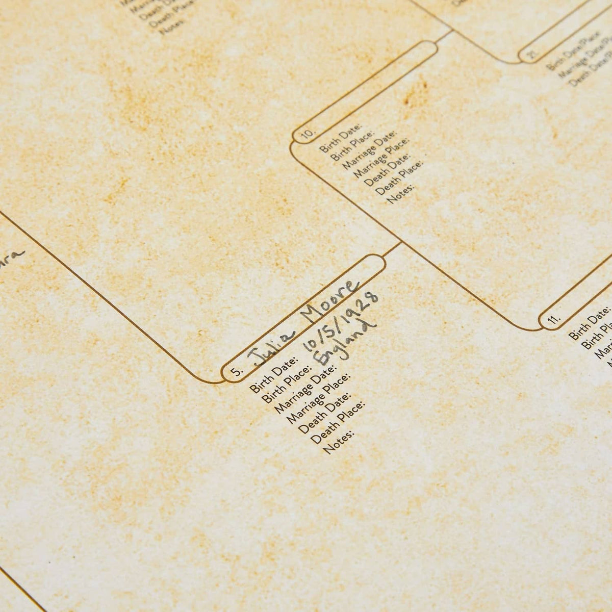 Off-white pedigree chart branch labeled 'Mary Moore' with birth and death fields