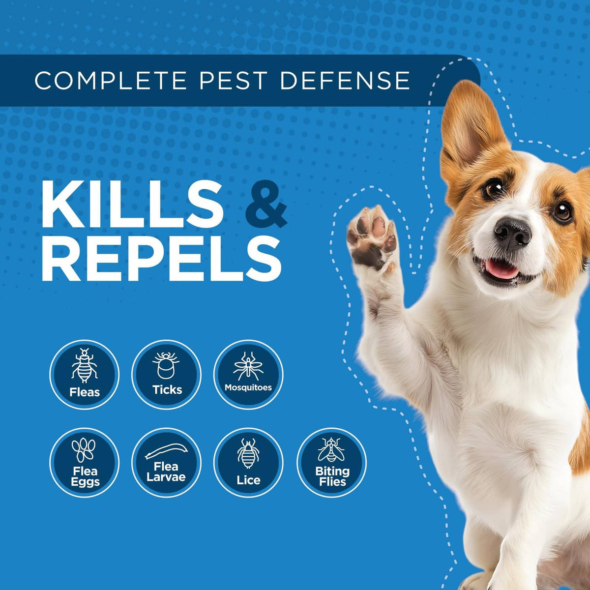 Medium-sized dog graphic on pest defense packaging with flea and tick icons