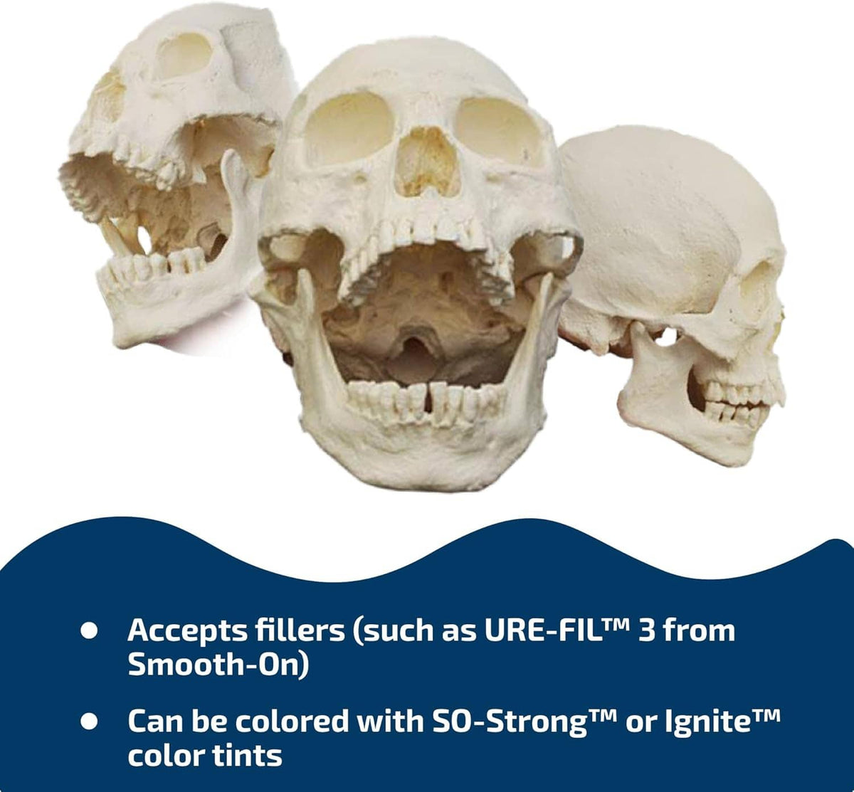 White plastic resin skull model cast with packaging graphic and bullet features