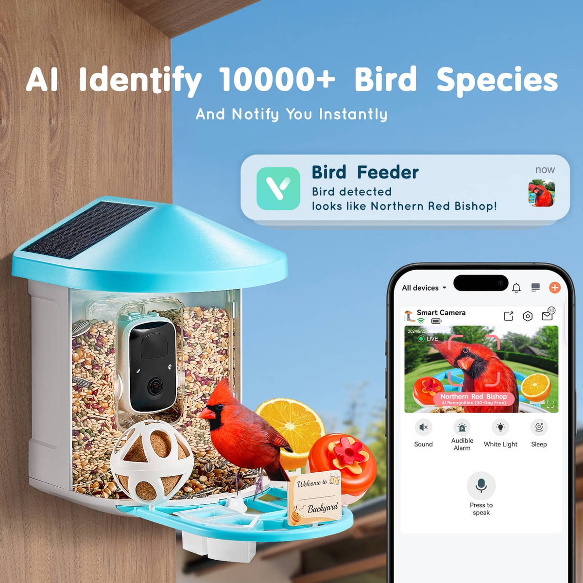 Smart bird feeder with blue roof, clear seed chamber, and built-in camera module