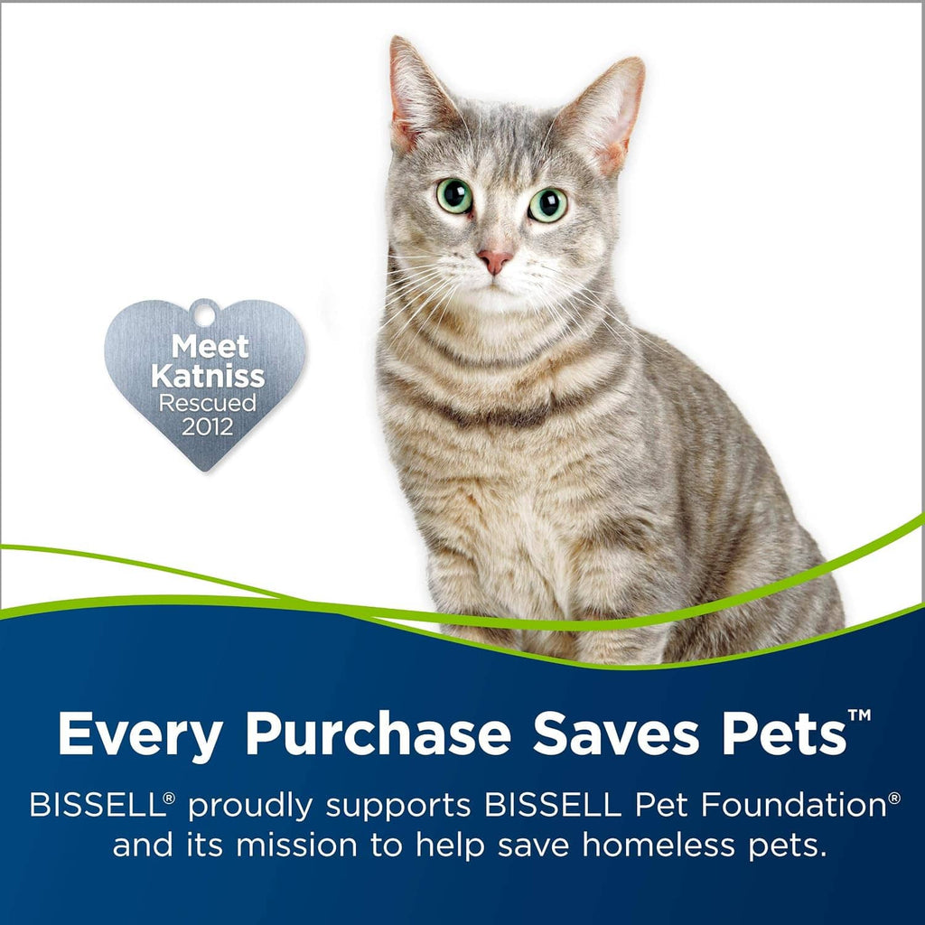 PET foundation promo graphic featuring a gray tabby cat and a heart badge