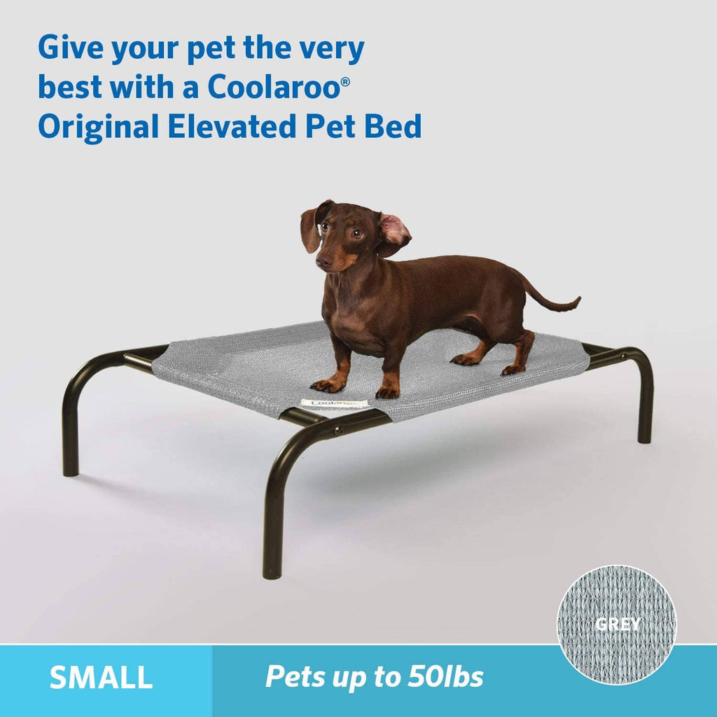 Grey elevated pet bed with black metal frame and woven fabric mattress, dog on top