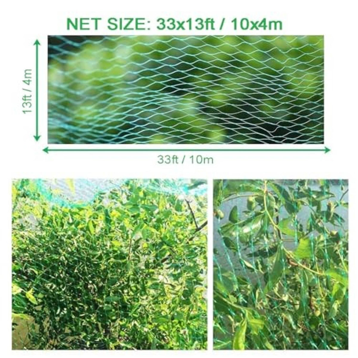 Green bird netting measuring diagram showing 33x13ft and 10x4m net size